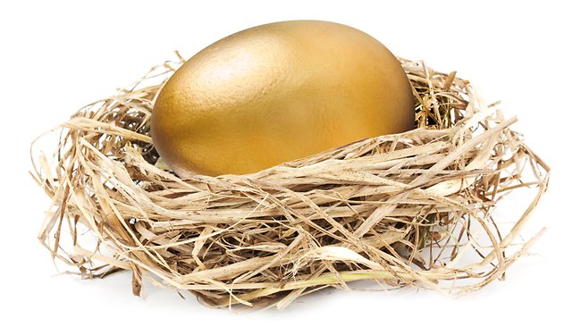 NestEgg